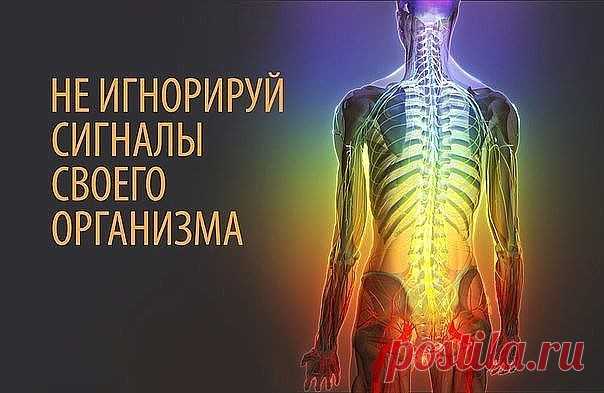 НАШ ОРГАНИЗМ И ЕГО СИГНАЛЫ