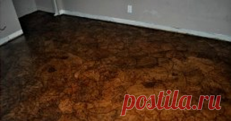 (47) Одноклассники