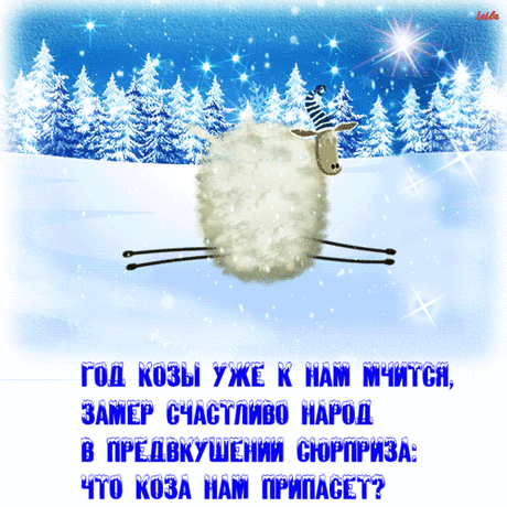 Год козы.