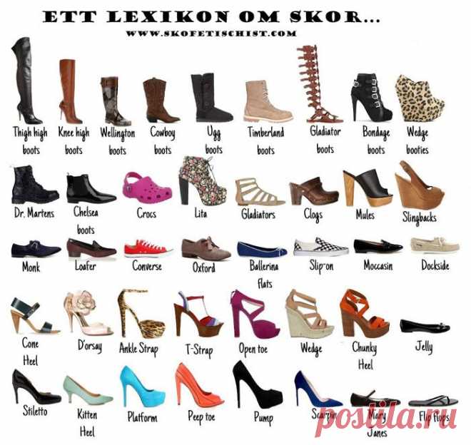 Виды обуви с картинками и названиями (12 фото) ⭐ Забавник