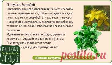 Петрушка, зверобой