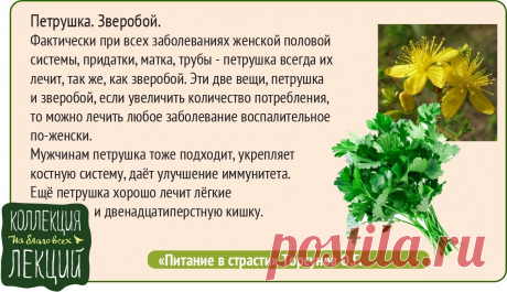 Петрушка, зверобой