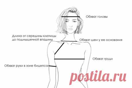 Рассчитываю реглан сверху для вязания базовой летней футболки - присоединяйтесь! | Anna Kuznetsova Knitting | Дзен