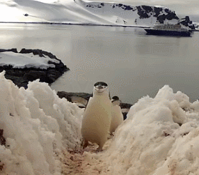 Группа: • ДЛЯ МОИХ ДРУЗЕЙ!!!