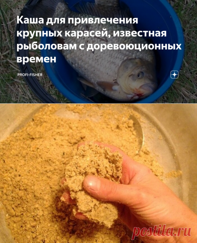 Каша для привлечения крупных карасей, известная рыболовам с доревоюционных времен | PROFI-FISHER | Яндекс Дзен