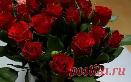 Любовь Тарасова
54 года, Россия, Москва