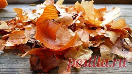 Без луковой шелухи никуда! Луковую шелуху собираю всю зиму. Делаю настой — заливаю шелуху водой, когда отстоится, поливаю комнатные растения. Если замечаю повреждения листьев, опрыскиваю по листьям. Обрабатываю заболевшие растения три раза, соблюдая интервал между обработками несколько дней. После этой процедуры комнатные цветочки оживают. Весной вывожу шелуху на дачу, там без нее никак не обойдешься.