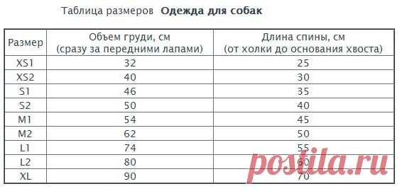 Как связать свитер для собаки