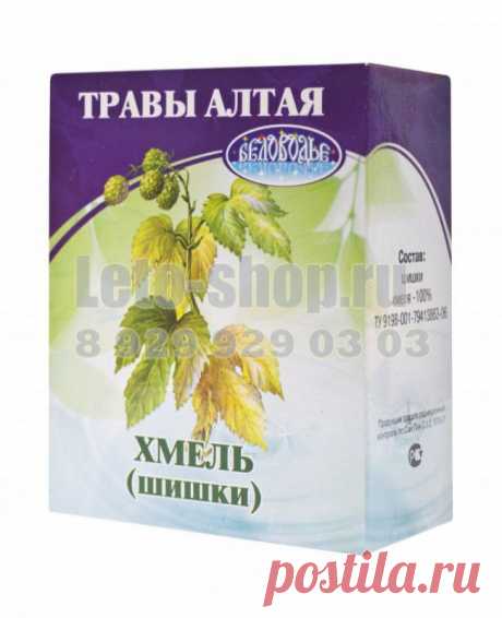 Шишки хмеля купить, шмель шишки для груди, применение шишек хмеля и их свойства