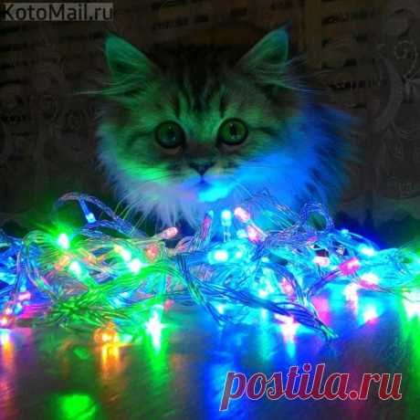 Новогодние огоньки