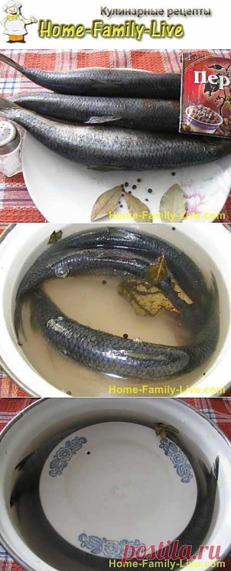 Как посолить сельдь дома -home-family-live.com-сельдь пряного посола | Кулинарные рецепты