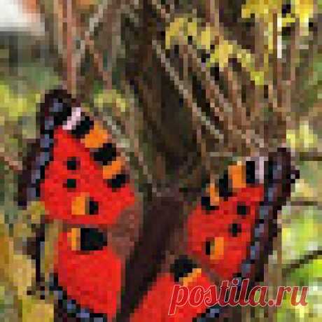 Realistic 3d Butterfly in Crochet. See the step by step of this Beautiful Model in Yarn