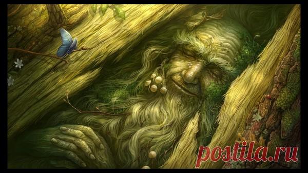Сердце лешего. Сказка. – Сказки рассказы , пользователь Добрый Волк Волкович | Группы Мой Мир