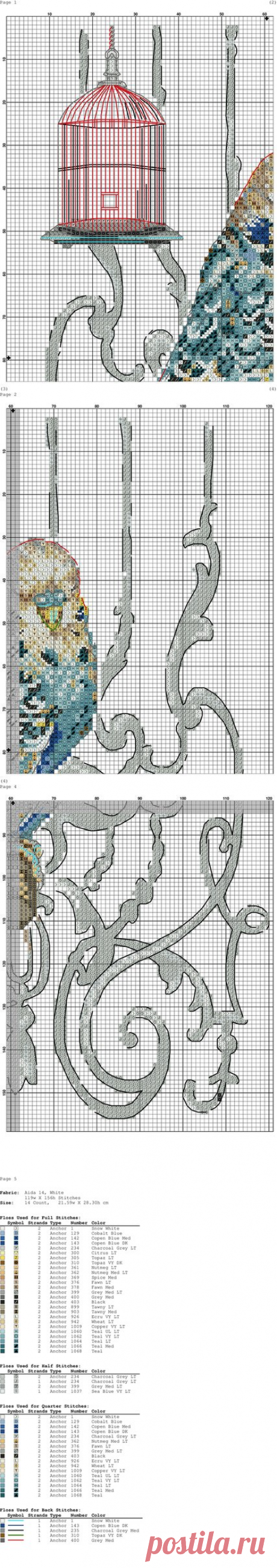 Вышивка крестом попугай. Бесплатные схемы для вышивки птиц |