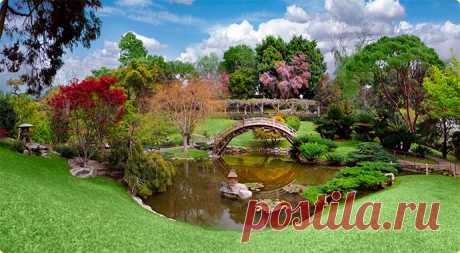 &quot;Город – Сад&quot;