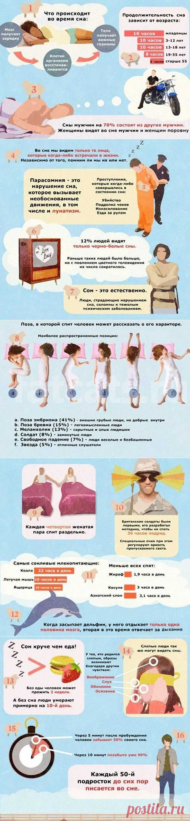 Интересные факты о сне
