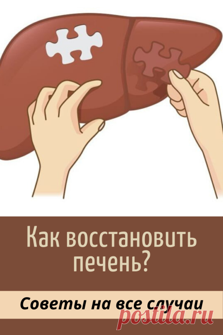 Если печень нездорова: Как помочь себе без лекарств
Люди веками изучали, как действует то или иное средство на эту удивительную железу. И за многие годы средств, естественно, накопили множество. Давайте обратимся к опыту предков и посмотрим, что мы сегодня можем использовать для лечения заболеваний печени.