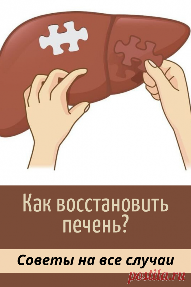 Если печень нездорова: Как помочь себе без лекарств
Люди веками изучали, как действует то или иное средство на эту удивительную железу. И за многие годы средств, естественно, накопили множество. Давайте обратимся к опыту предков и посмотрим, что мы сегодня можем использовать для лечения заболеваний печени.