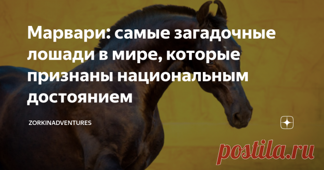 Марвари: самые загадочные лошади в мире, которые признаны национальным достоянием Одна из лучших обложек National Geographic Россия (где я тружусь) – работа лучшего, пожалуй, конного фотографа в стране – Екатерины Друзь. На снимке была изображена загадочная лошадь марвари. А вот рассказ Екатерины об этой удивительной индийской породе: она много раз была в Индии, где фотографировала этих чудесных животных, которые признаны национальным достоянием. «Какие уши!» – вот первая ...