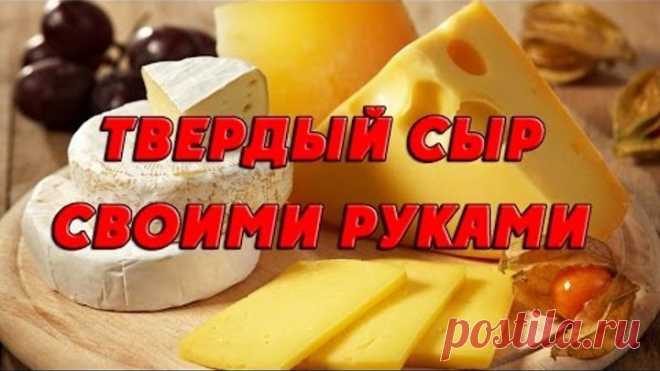 Твердый сыр своими руками. Изготовление твердого сыра в домашних условиях