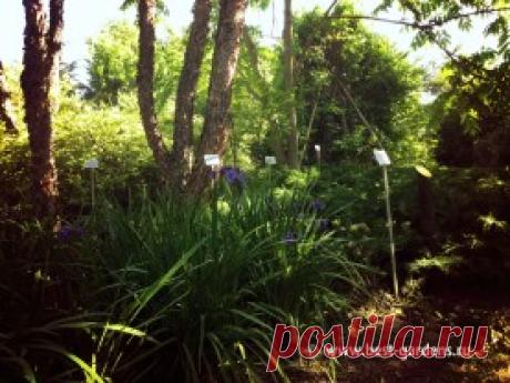 Kumpulan: Ботанический сад в Хельсинки - Best-Gardens
