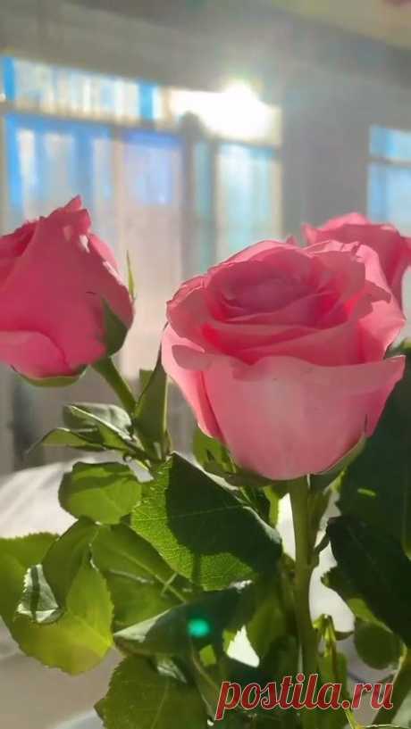 🌷 И каждый раз.. Себя превозмогая, мы говорим: ВСЁ БУДЕТ ХОРОШО!...
