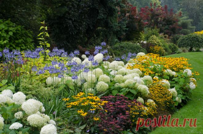 10 правил создания цветника: как не допустить типичные ошибки