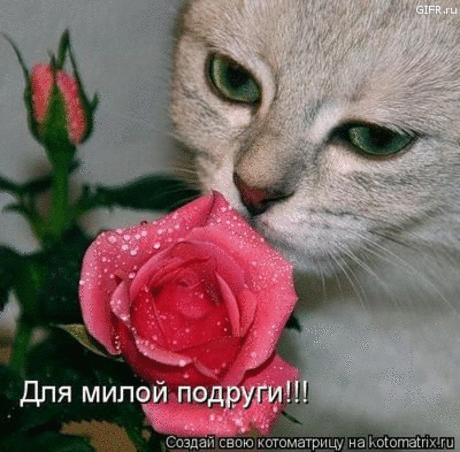 Музыкальная открытка - УЛЫБНИТЕСЬ!..И ЗАСИЯЕТ СОЛНЦЕ ВАШЕЙ УЛЫБКИ!!!