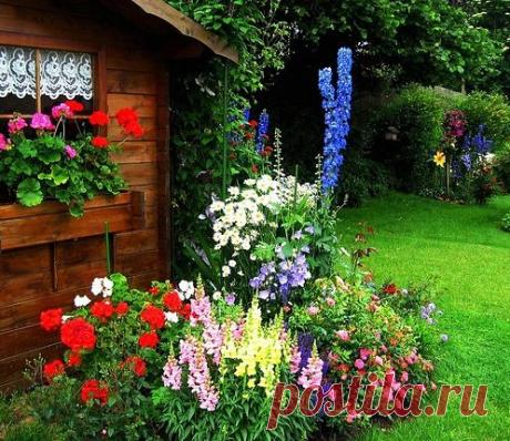 Стихотворения про цветы