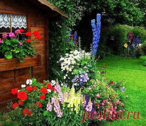 Стихотворения про цветы