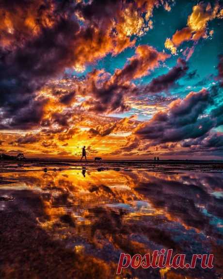 Nice picture