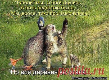 Интересные новости