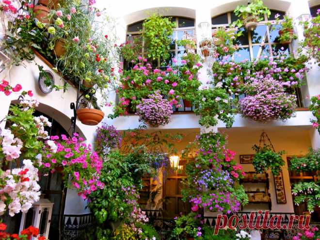 патио в кордове - Поиск в Google