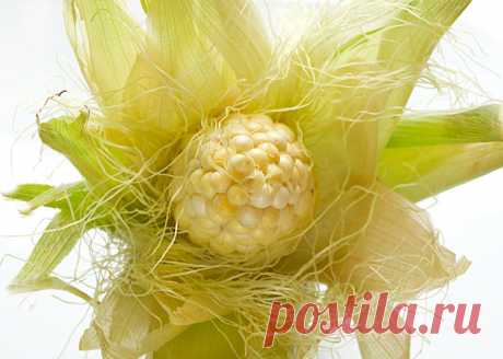 Кукурузные рыльца для похудения, применение и польза