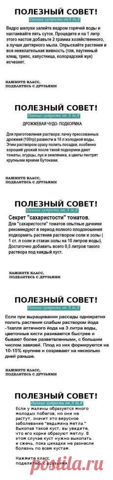 Одноклассники