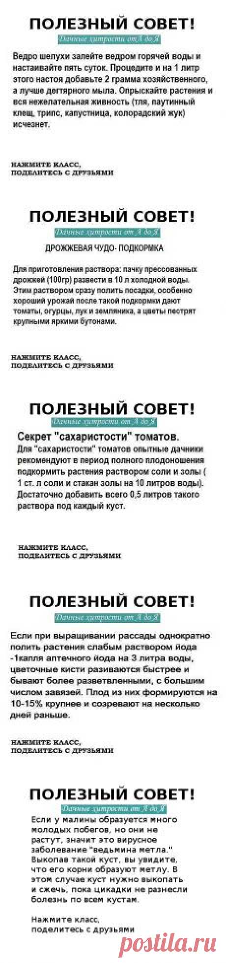 Одноклассники
