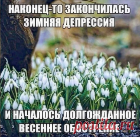 https://t.me/trevoga247/520