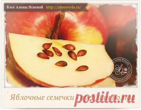 Яблочные семечки - в чем польза и в чем вред яблочных семечек?