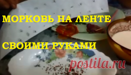 Морковь на ленте своими руками! — 6 соток