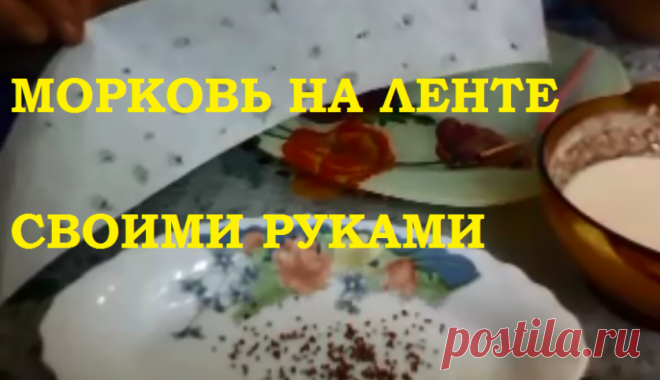 Морковь на ленте своими руками! — 6 соток