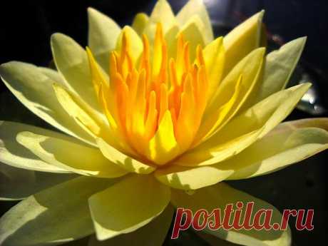 Редактировать описание