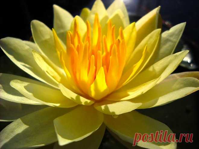 Редактировать описание