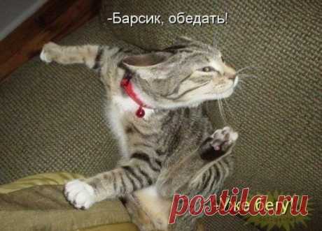 Уматно ©