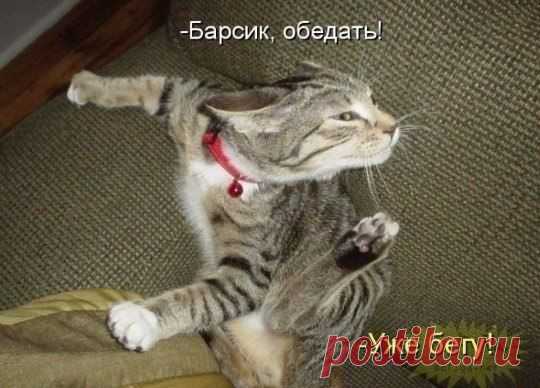 Уматно ©
