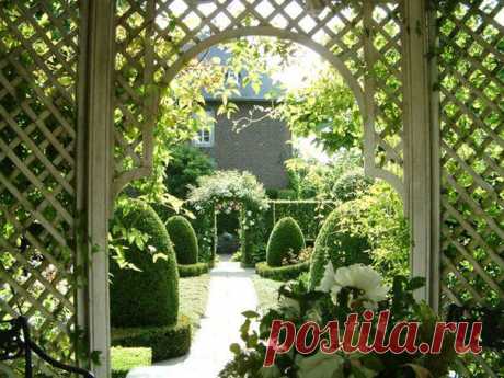 Art-studio &quot;Hedera&quot;