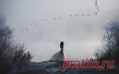 Двигаться вперёд, а не топтаться на месте: как я выхожу из своей зоны комфорта — Психология