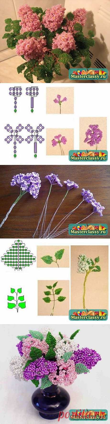 Сирень из бисера. Схемы