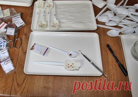 ПРОРАЩИВАНИЕ СЕМЯН ТОМАТА
Сохраните, чтобы не потерять!
Новый способ проращивания семян томатов, его можно применить и к другим культурам.
ЧТО НЕОБХОДИМО:
1. поддоны
2.одноразовые ложки
3.салфетки бумажные
4.пленка
5. семена