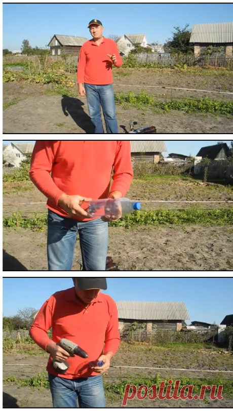 Простое устройство уничтожит весь проволочник на участке