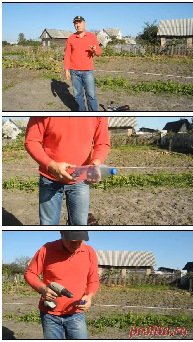 Простое устройство уничтожит весь проволочник на участке